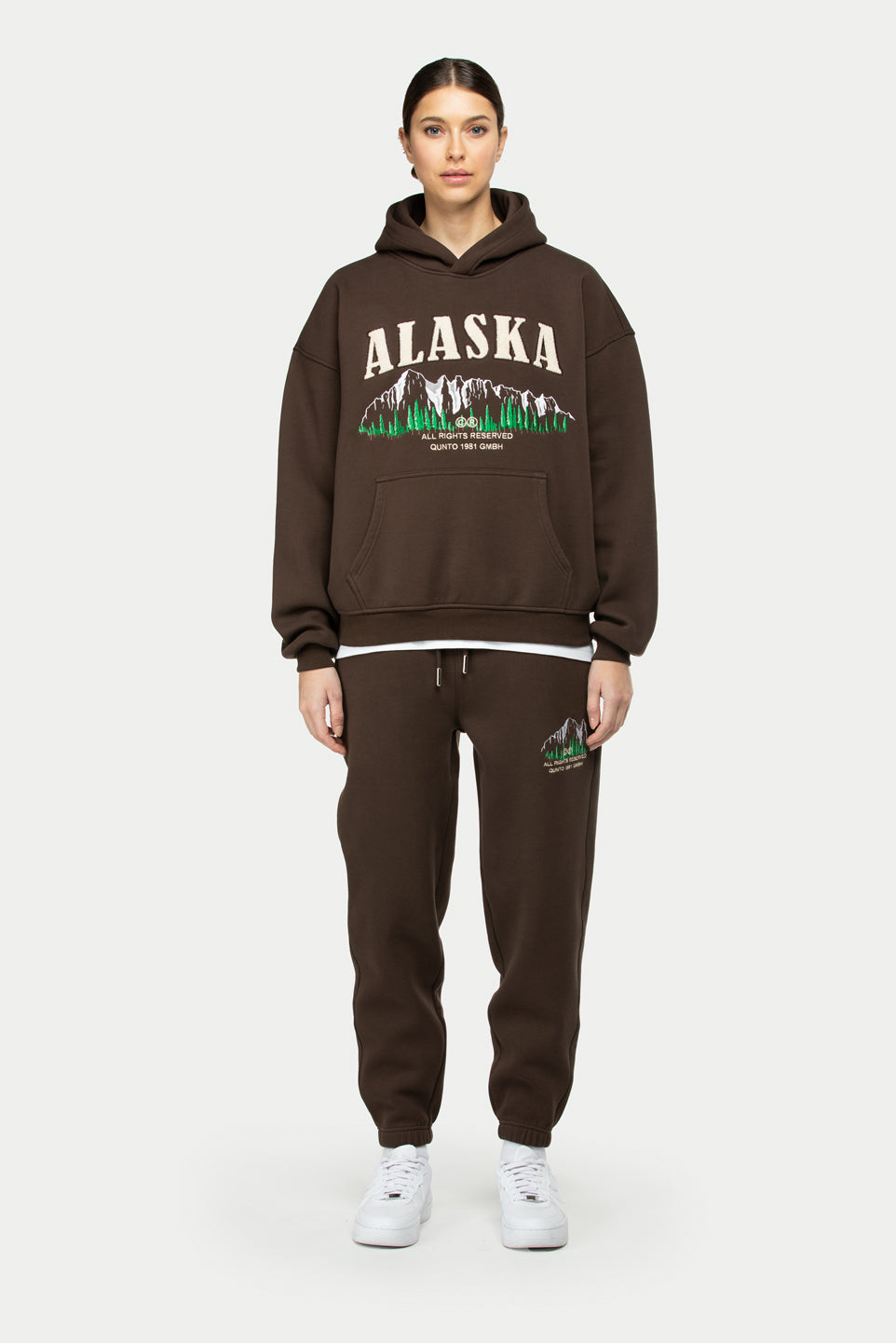 Alaska Foresight Hoodie Brown