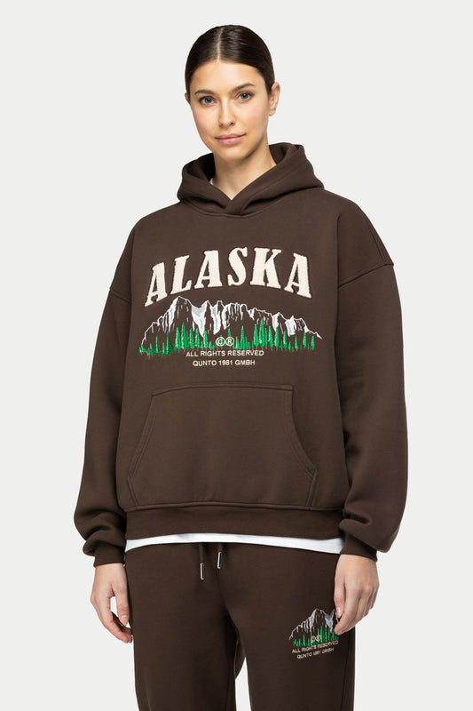 Alaska Foresight Hoodie Brown
