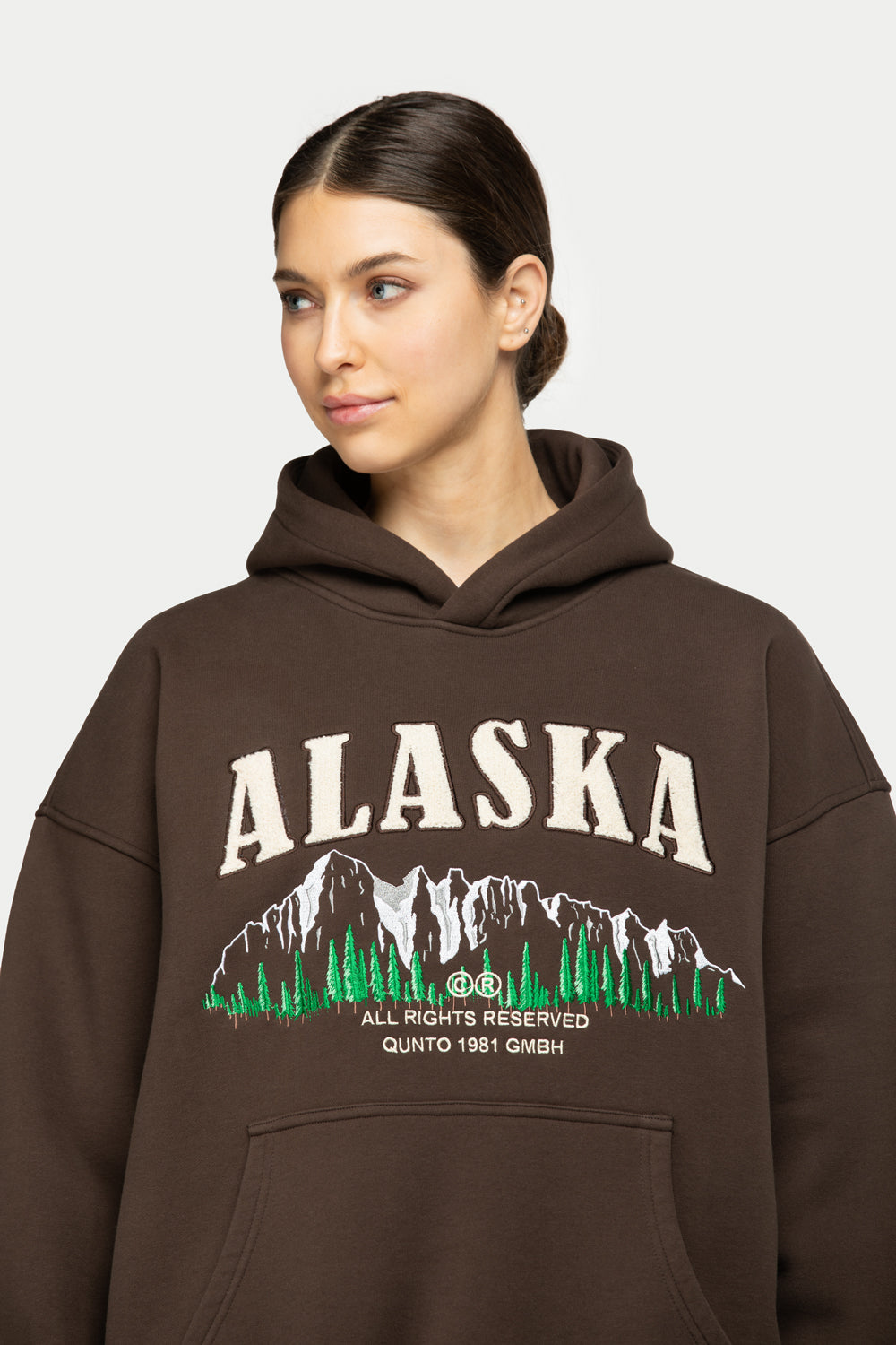 Alaska Foresight Hoodie Brown