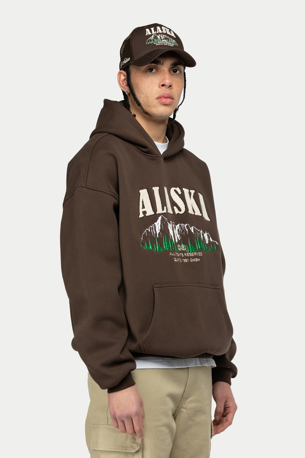 Alaska Foresight Hoodie Brown