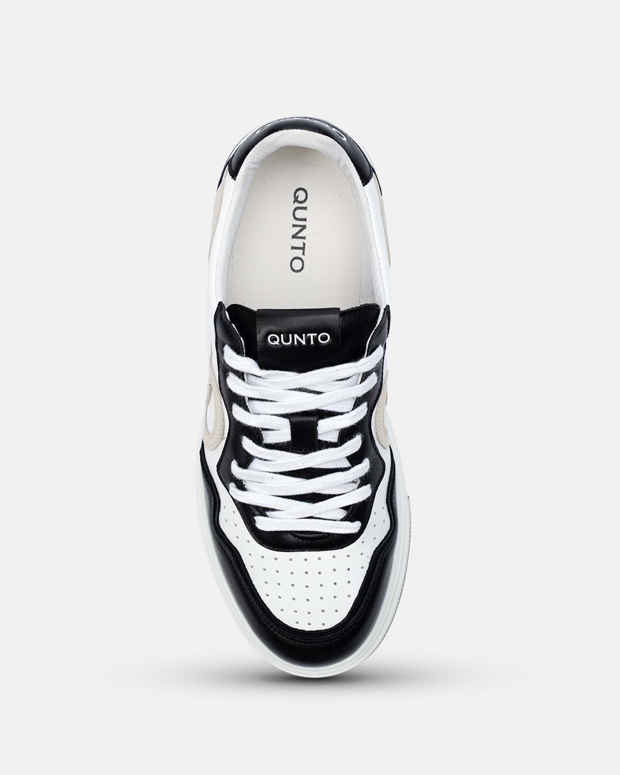 The Low Sneaker Blue & Cream