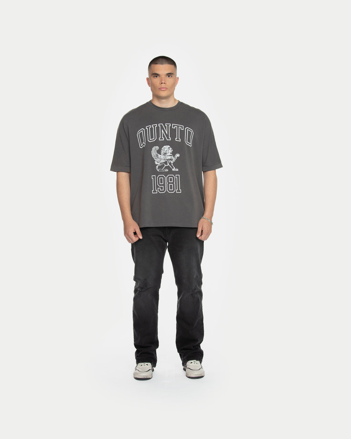 Lion T-Shirt Acid Grey