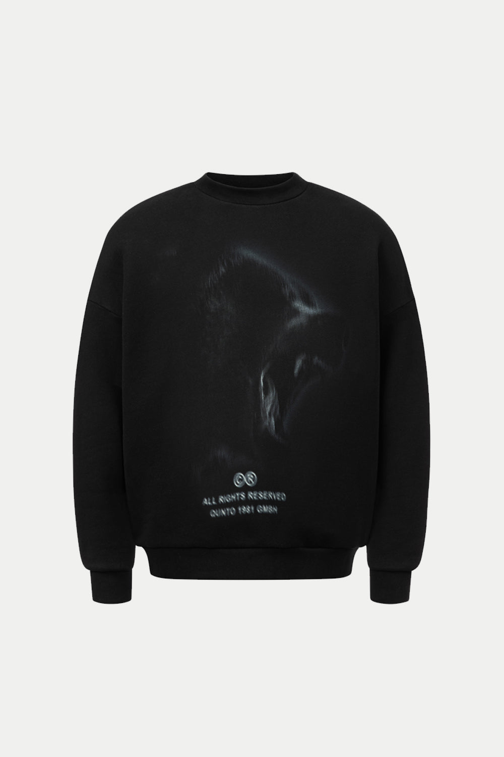 Bear Blurred Sweatshirt Black