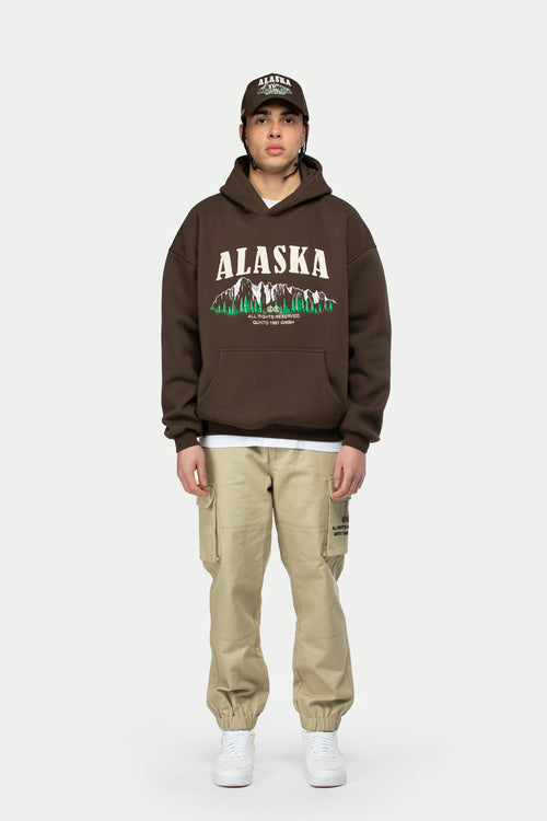 Alaska Foresight Hoodie Brown